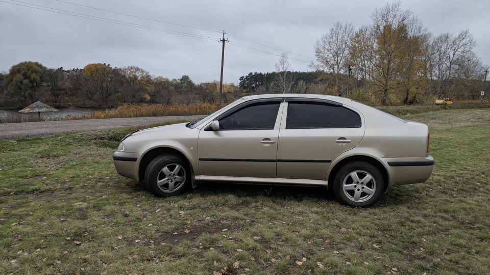 Skoda Octavia Бежева Сахара 2
