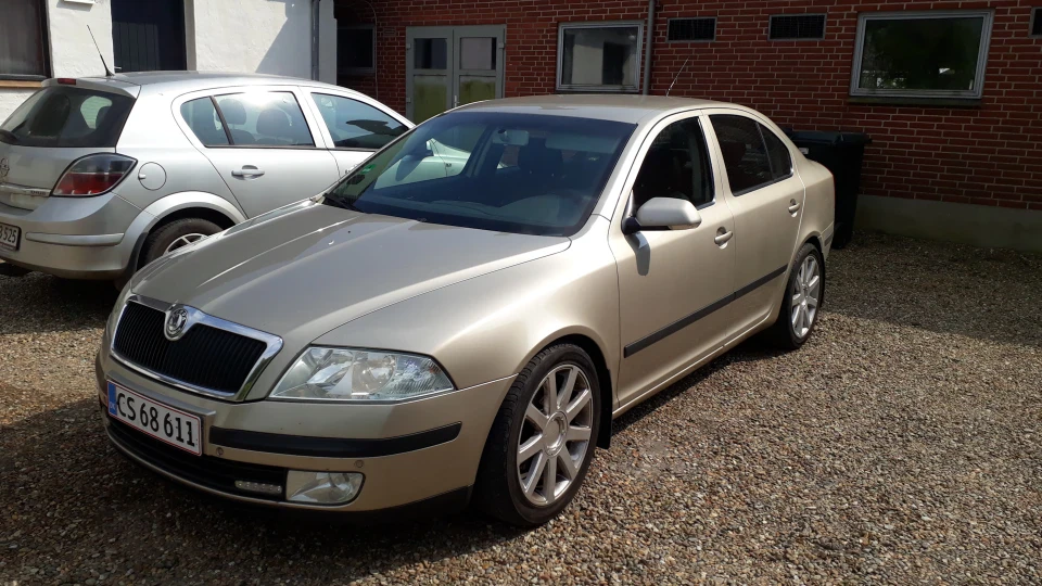 Skoda Octavia Champagne metal