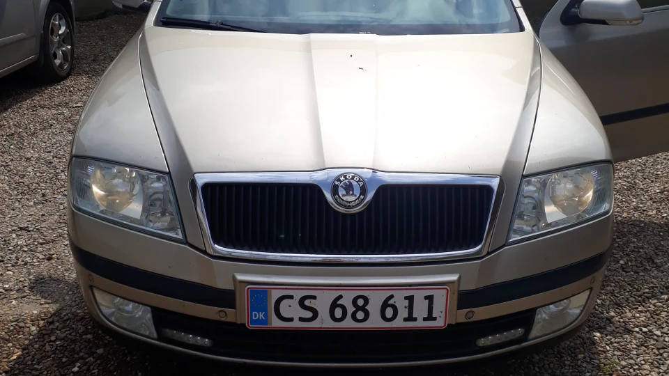 Skoda Octavia Champagne metal 3