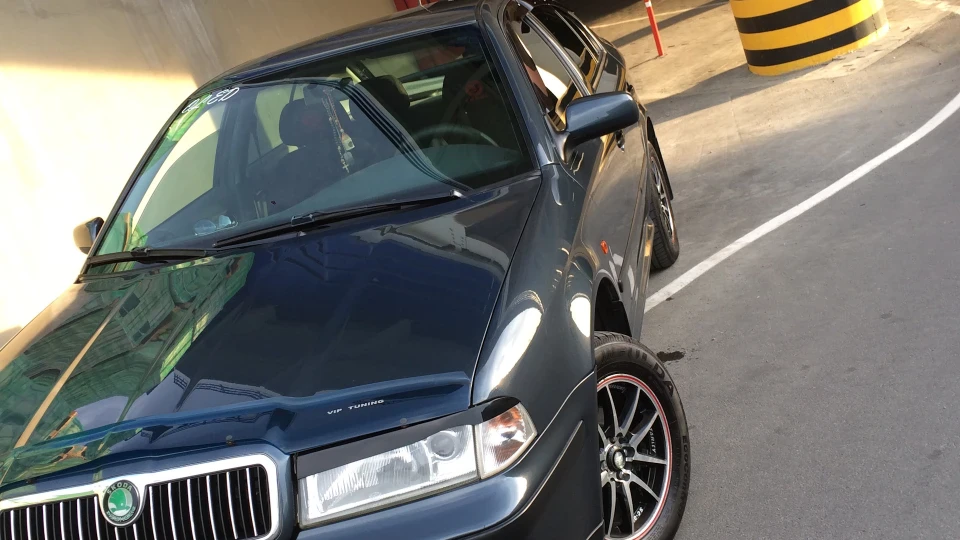 Skoda Octavia Czekh Анюта 2