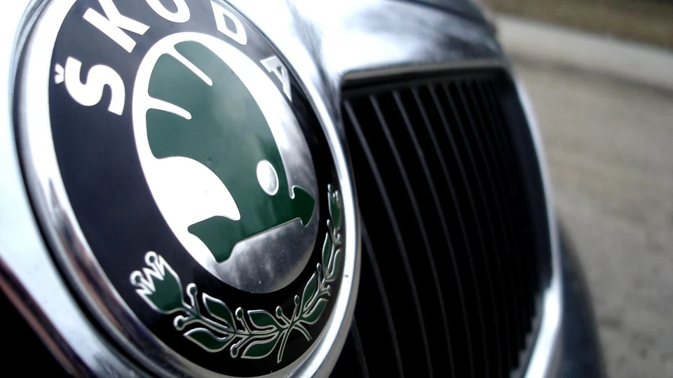 Skoda Octavia дельфін-ЧІК 3