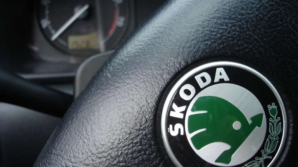 Skoda Octavia дельфін-ЧІК 4