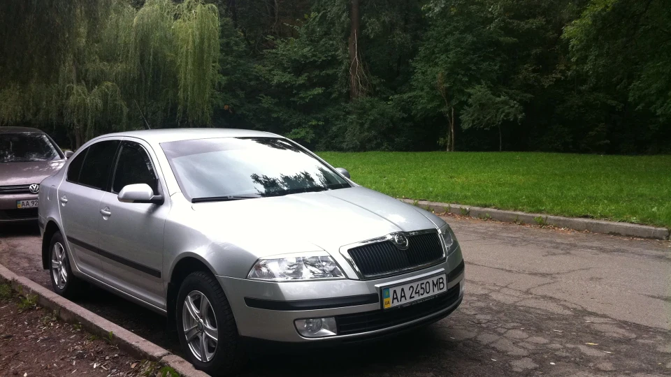 Skoda Octavia Економочка 2
