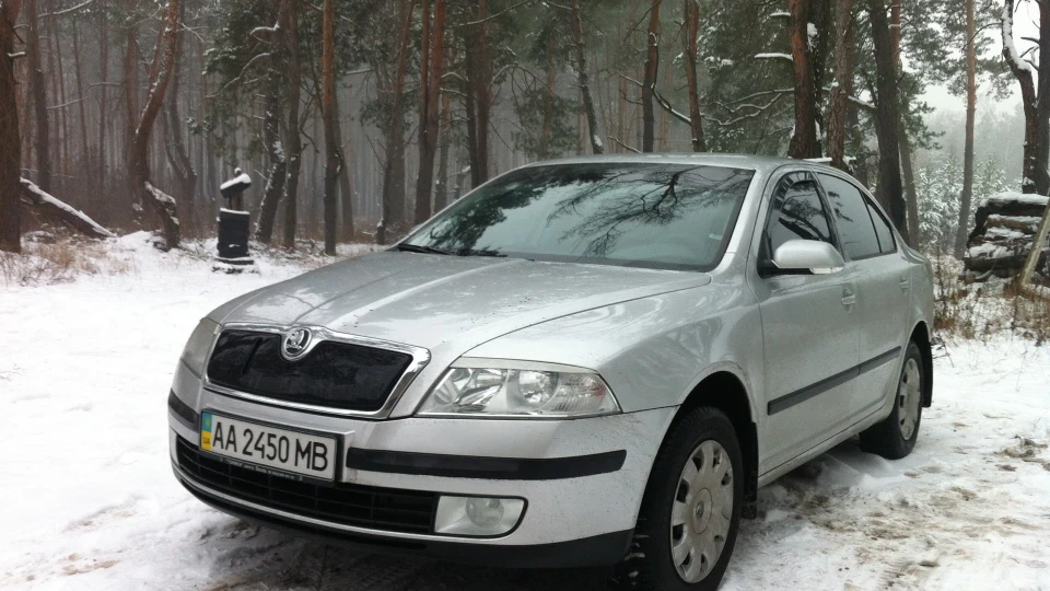 Skoda Octavia Економочка 4