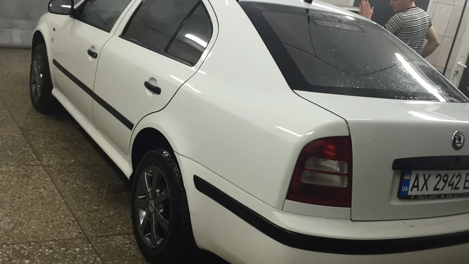 Skoda Octavia Касатка 2