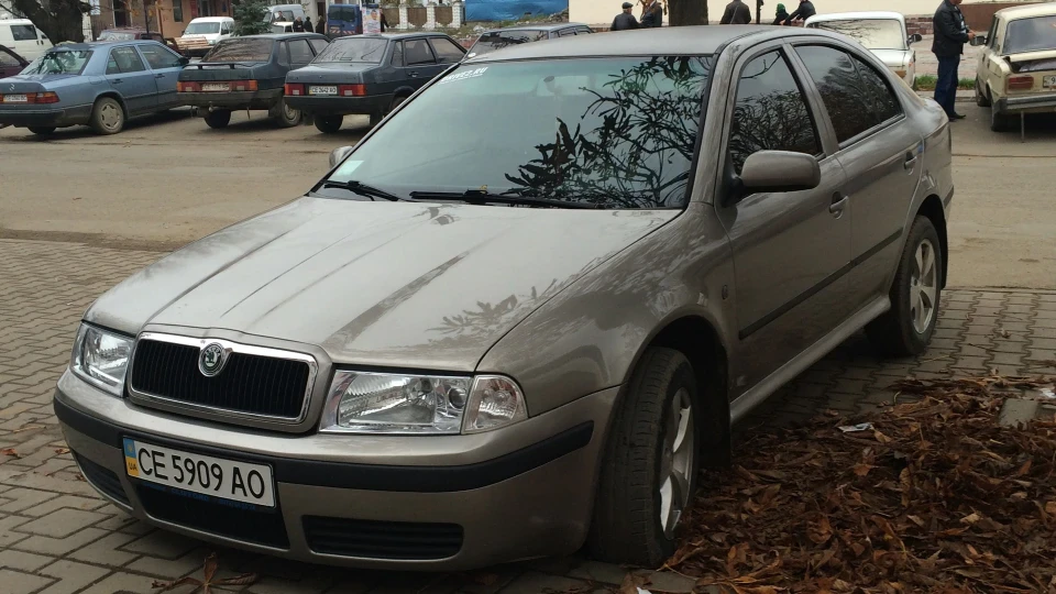 Skoda Octavia ЛАСТО4КА 5