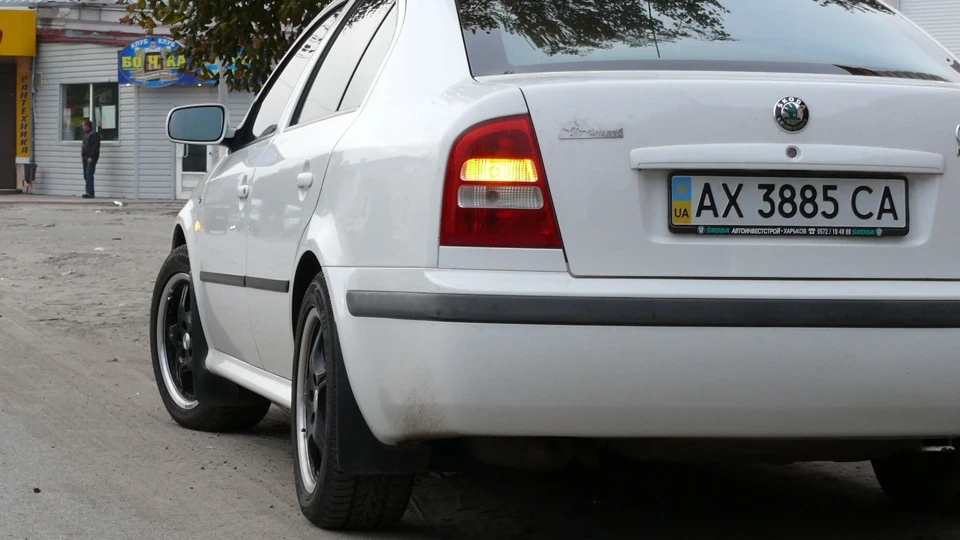 Skoda Octavia Ластівка 3