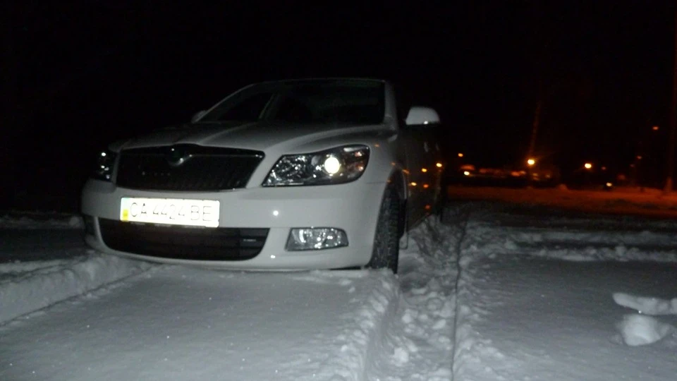 Skoda Octavia LIONESSA BIANCA 2
