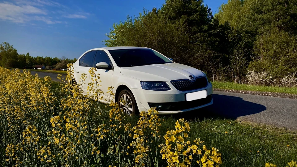 Skoda Octavia Not VRS
