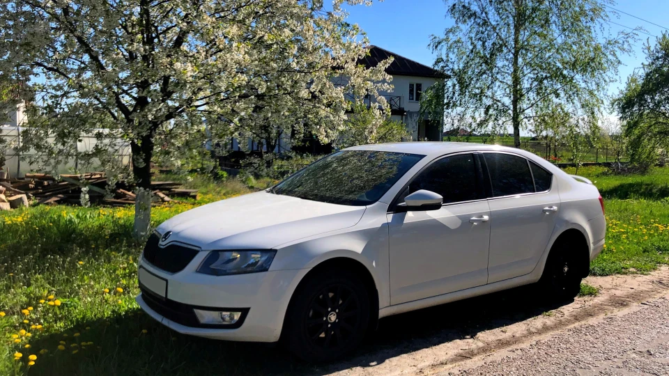 Skoda Octavia Not VRS 5