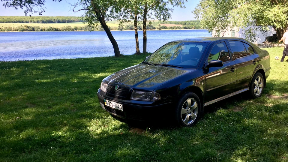 Skoda Octavia Овочі, мій милий овоч ...) 3