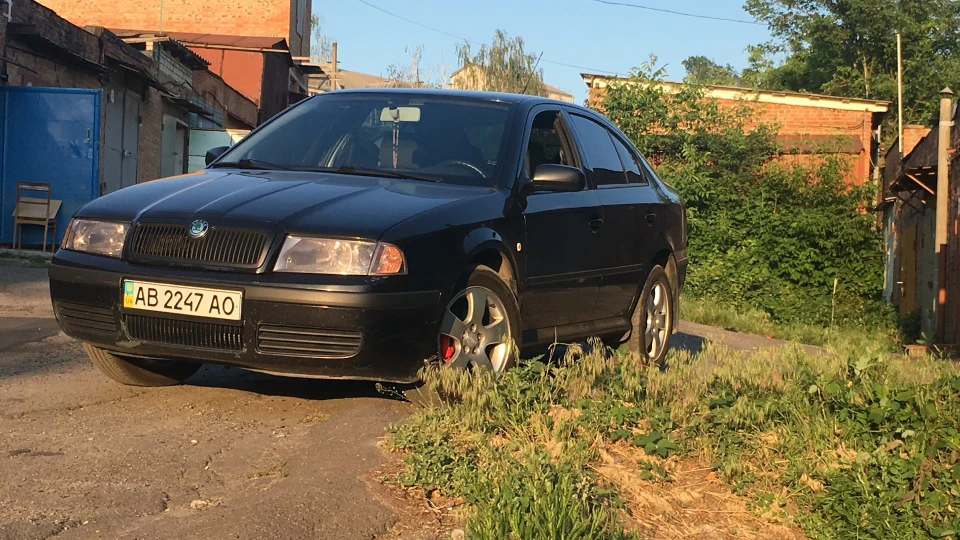 Skoda Octavia Овочі, мій милий овоч ...) 4
