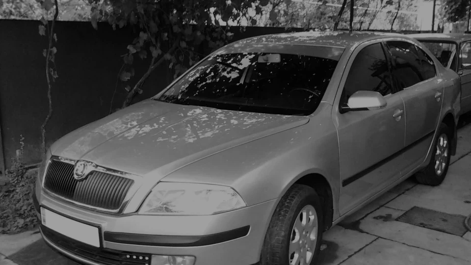 Skoda Octavia СРІБНИЙ ПОЗИТИВ) 5
