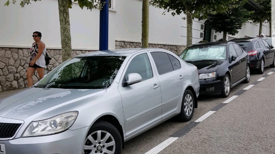 Skoda Octavia Сріблястий металік.