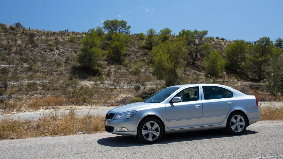 Skoda Octavia Сіре Коте 3