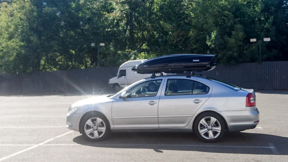 Skoda Octavia Сіре Коте 4