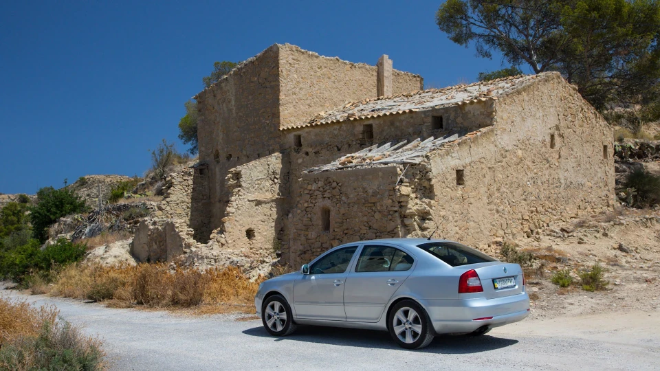 Skoda Octavia Сіре Коте 5