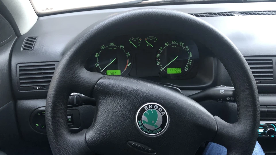 Skoda Octavia «сірий вовченя»