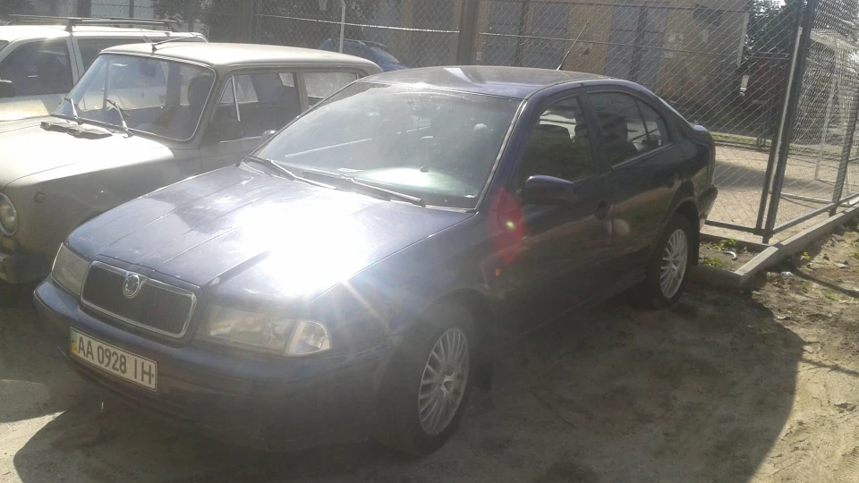 Skoda Octavia Шкодіна 3