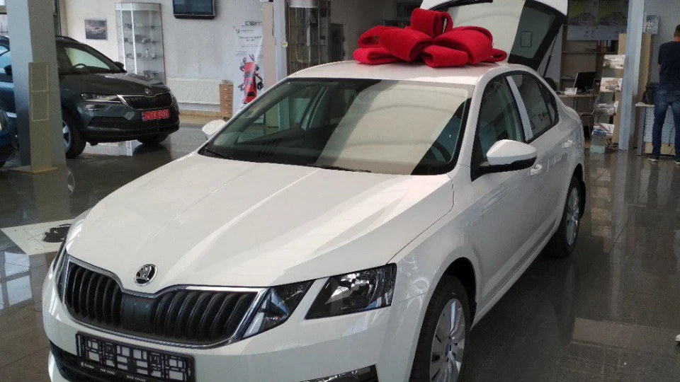 Skoda Octavia 「Шкодіна」 2