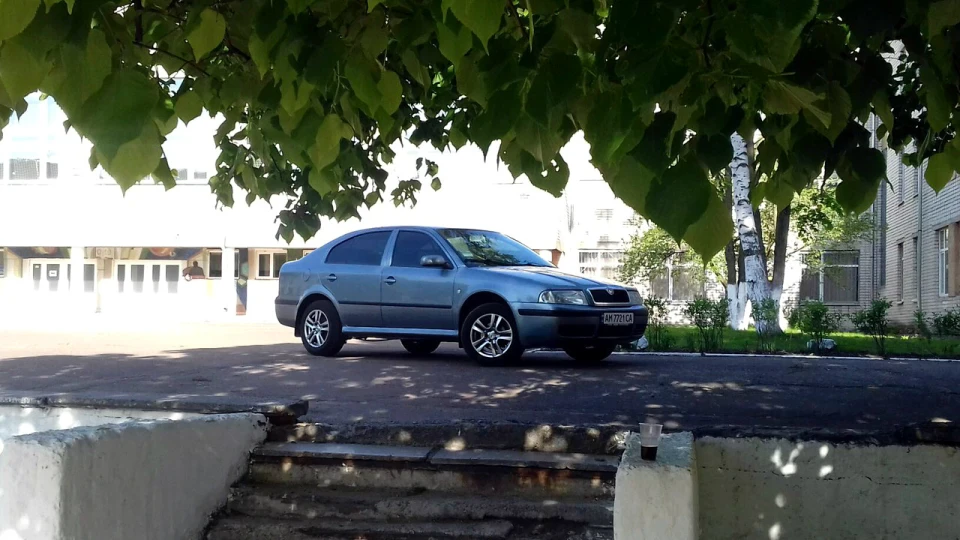 Skoda Octavia Шкодка