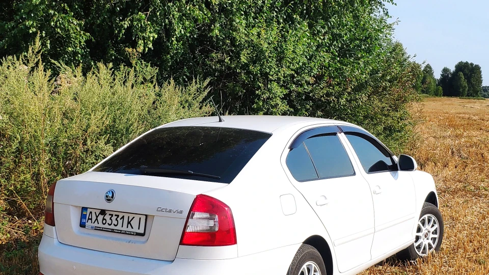 Skoda Octavia Сніжок 5