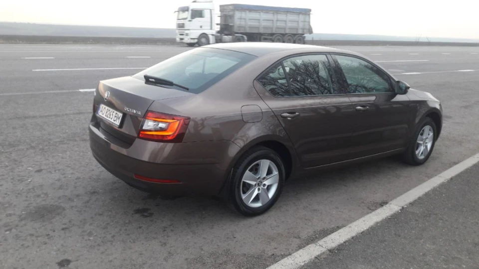 Skoda Octavia Шоколадка 2