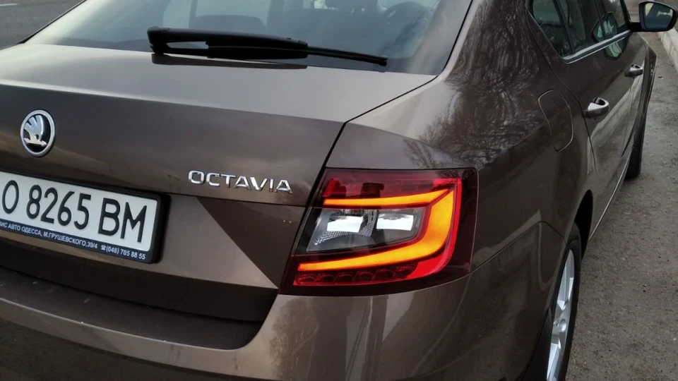 Skoda Octavia Шоколадка 3
