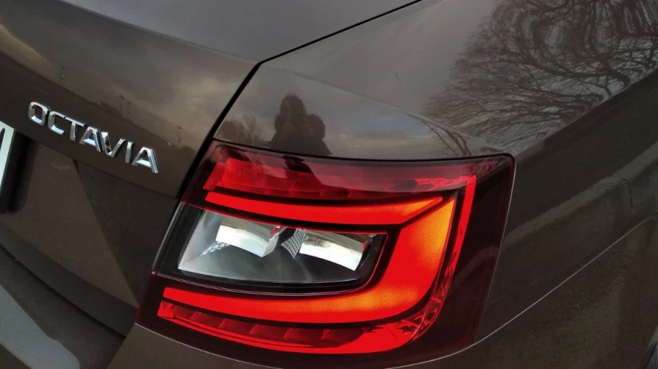 Skoda Octavia Шоколадка 4