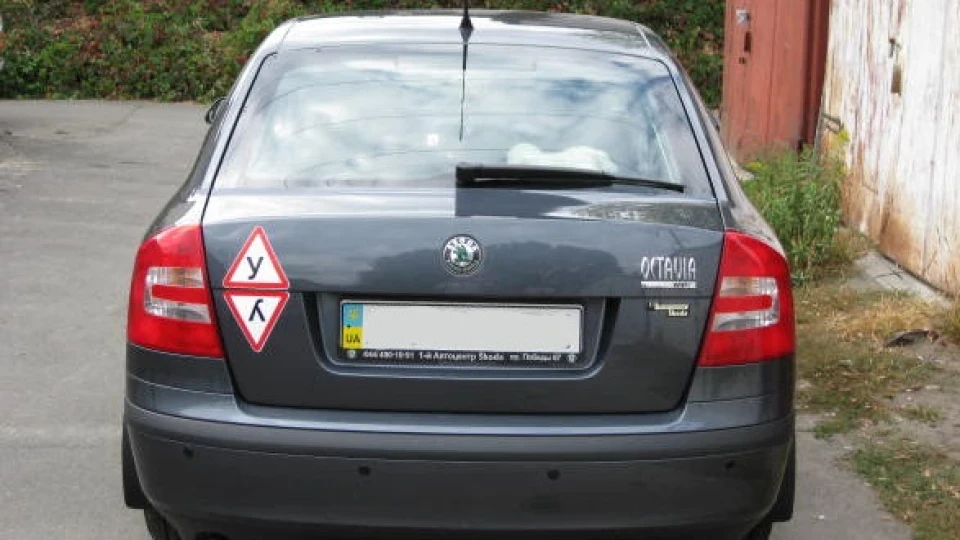 Skoda Octavia Стайлс на дорогах 2