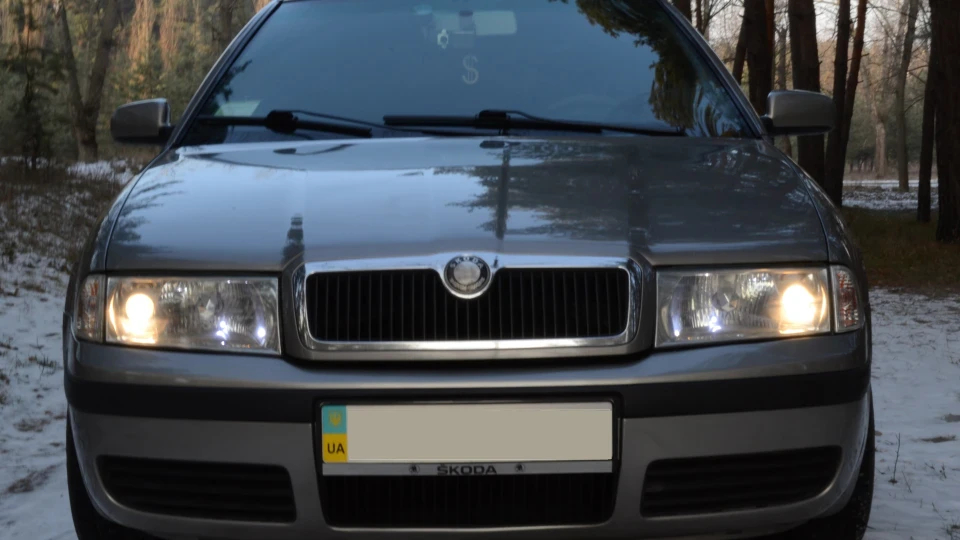 Skoda Octavia Шурка