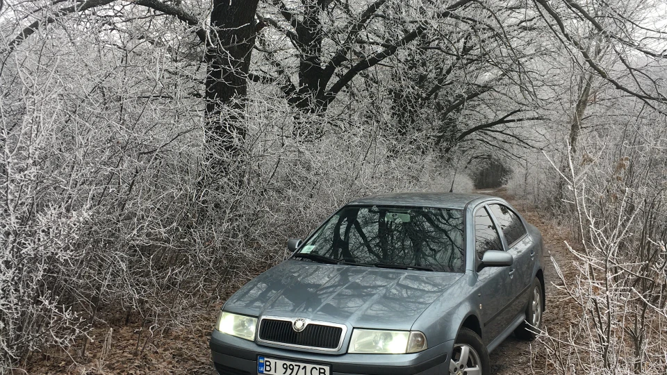 Skoda Octavia Турка