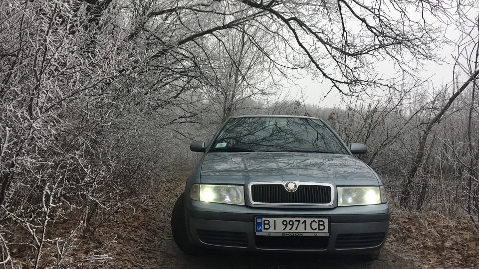 Skoda Octavia Турка 2