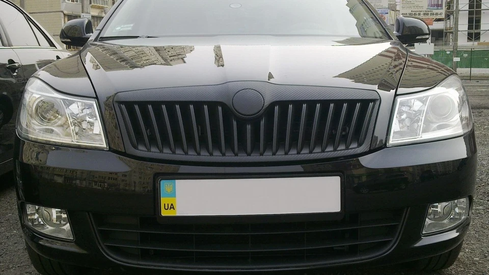 Skoda Octavia Вірна помічниця (хутро) 2