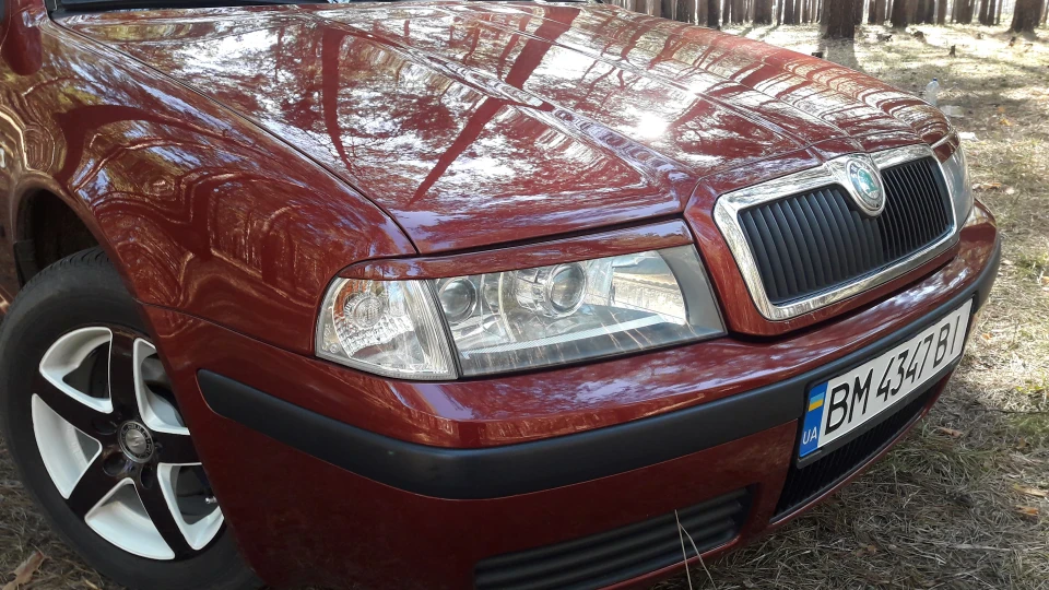 Skoda Octavia Вишенька 3