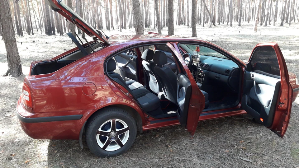 Skoda Octavia Вишенька 4