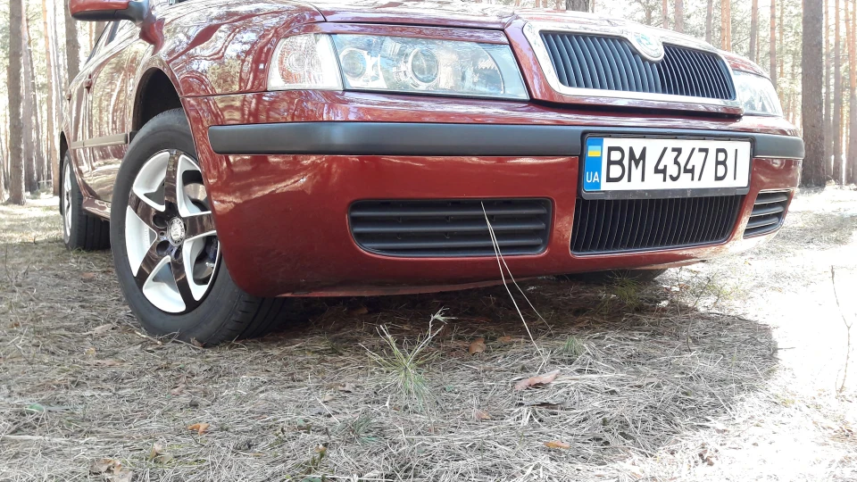 Skoda Octavia Вишенька 5