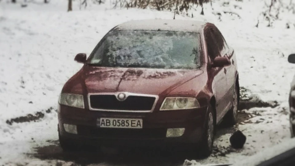 Skoda Octavia Вишня 2