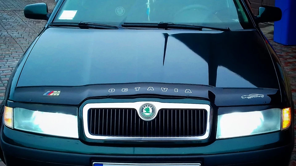 Skoda Octavia Зелений Турбо-Турик