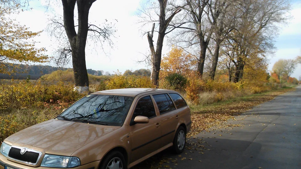 Skoda Octavia ЗОЛОТЦЕ....;) 3