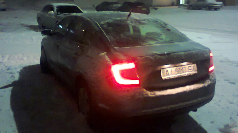 Skoda Rapid 215 НьютонОФ ТЯГИ 4