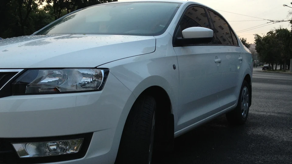 Skoda Rapid Activated Rabbit 2
