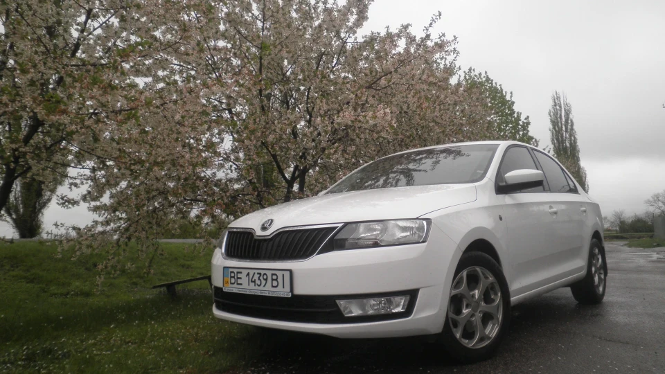 Skoda Rapid Біла Трудяга 🇺🇦 💯 2