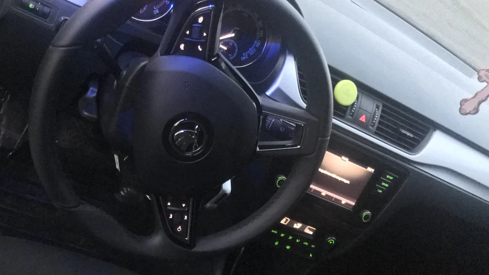 Skoda Rapid (Black) Рапідушка