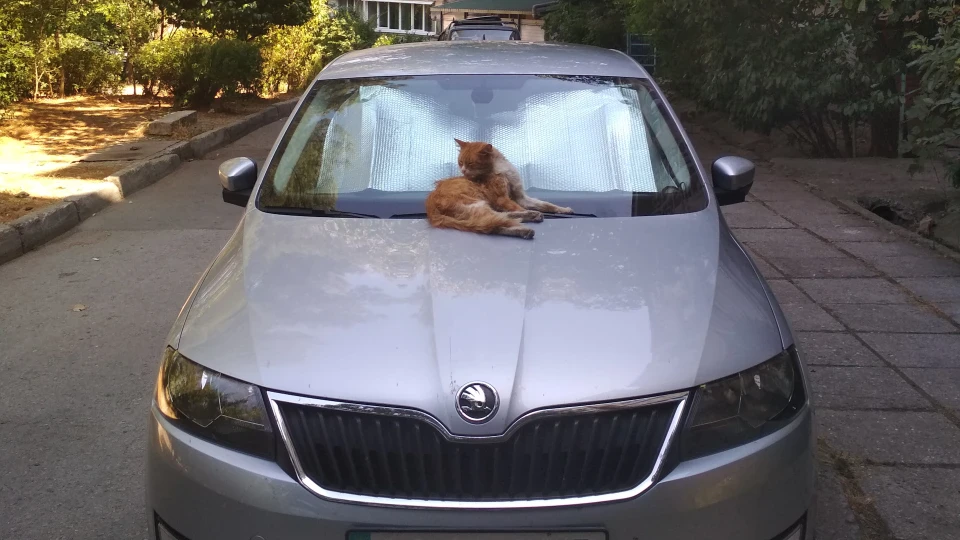 Skoda Rapid EGOIST™ 2