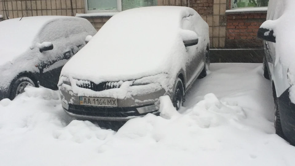 Skoda Rapid Cappuccino Beige 1.6mh 3