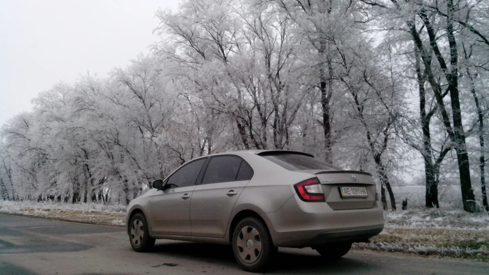 Skoda Rapid ТурболениШ 2
