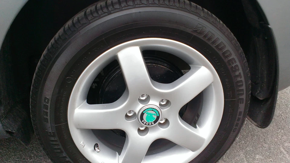 Skoda Rapid Журавлик 5