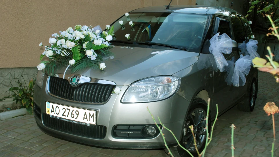 Skoda Roomster 2