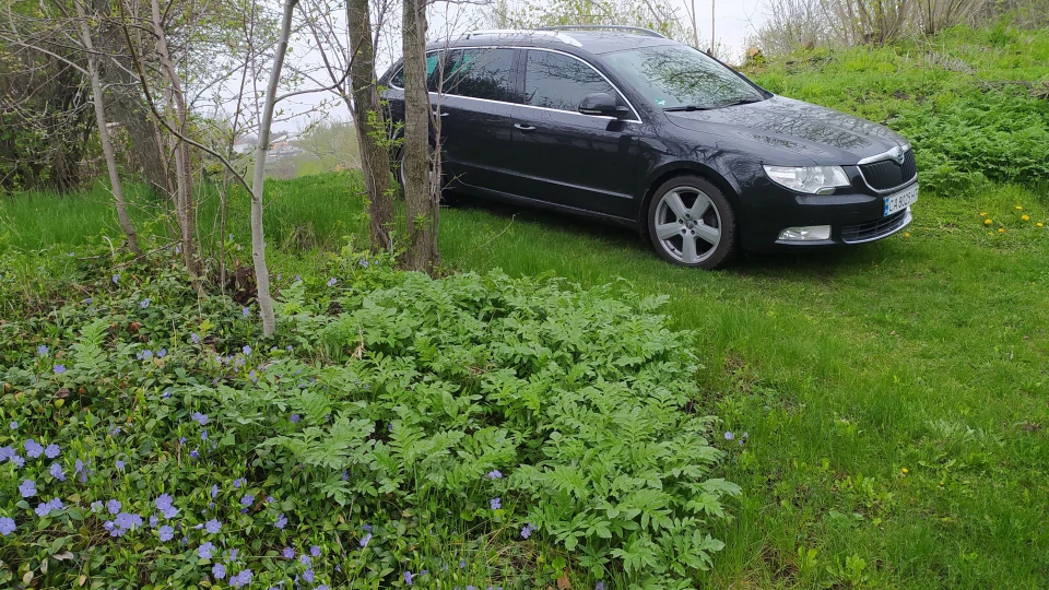 Skoda Superb Combi 1.8 tsi panamera 2